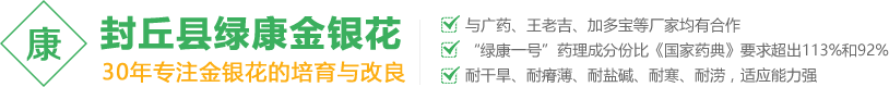 河南金銀花苗,樹形金銀花苗